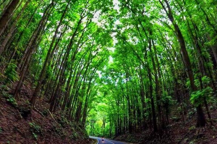 Philippines 7 Days Easy cycling in Bohol Island and Camiguin Tour